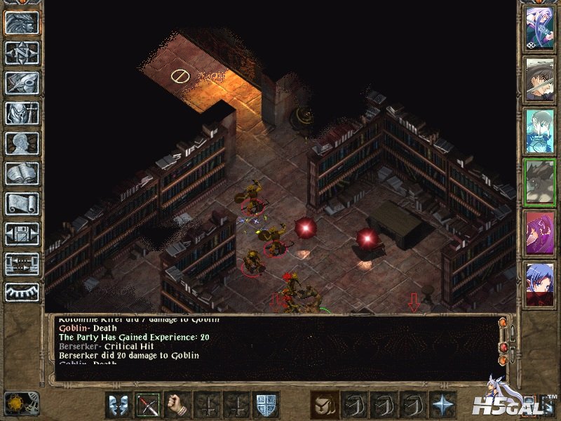 irenicusLibrary.jpg