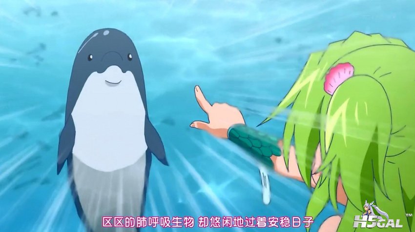 vdf01.jpg