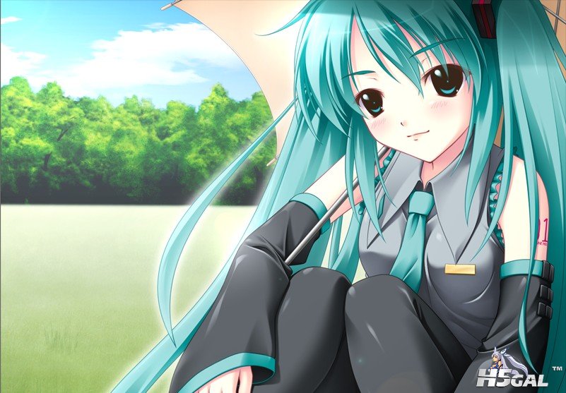 20120606115955.jpg