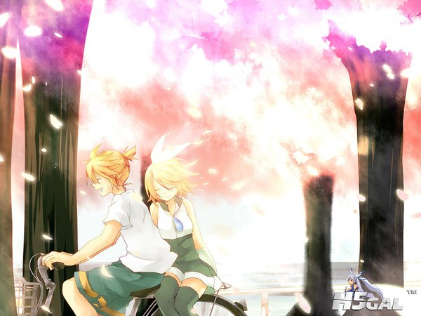 RIN4.jpg