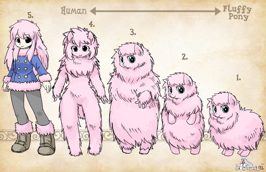 types__fluffy_pony_by_shepherd0821-d67gbcn.jpg