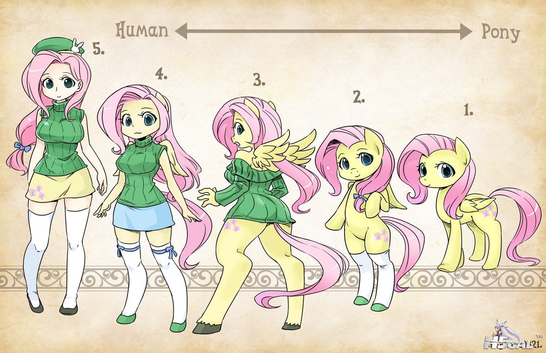 types_fluttershy_by_shepherd0821-d62lq43.jpg