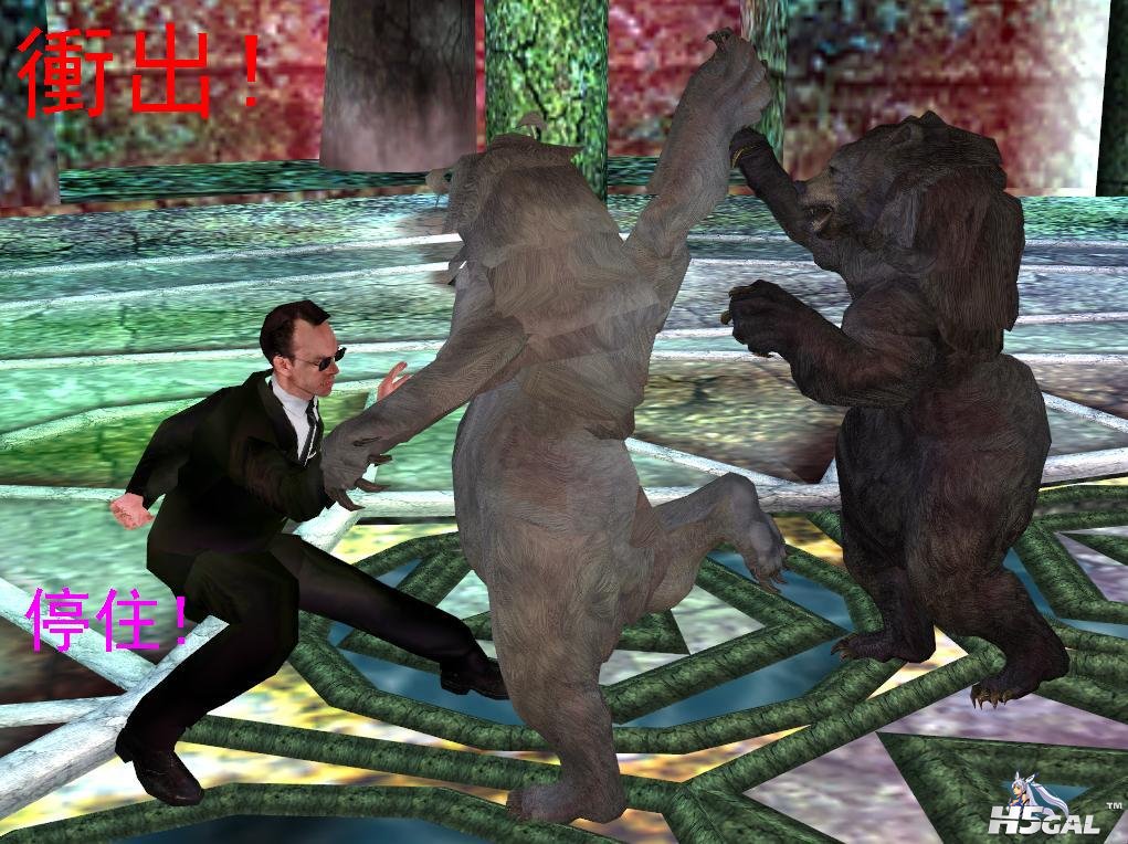 17.JPG
