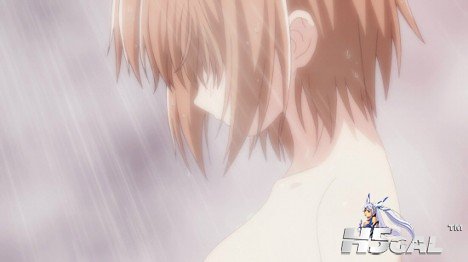 Ro-Kyu-Bu-BD3-De-Steamed-Comparis**-12-468x262.jpg