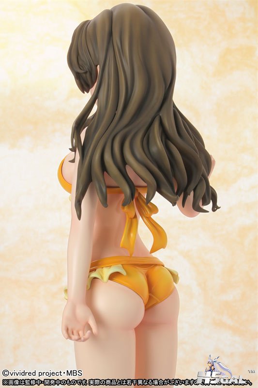 FIGURE-003627_14.jpg