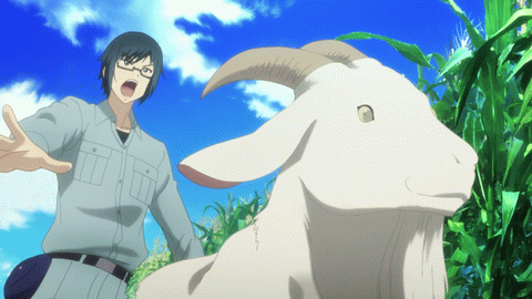 NoRin-Episode8-Omake-3.gif