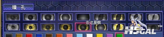 五瓣位置.jpg