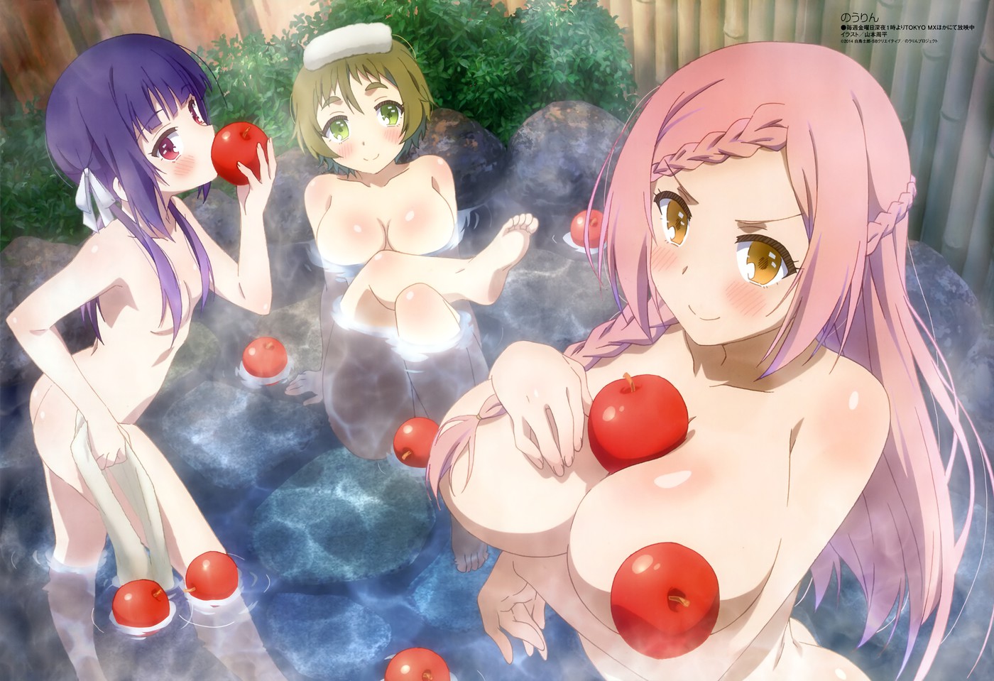NouRin-BD1-Omake-4.jpg
