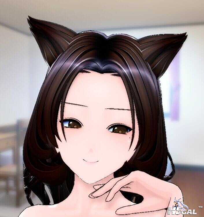 AA2Use.jpg