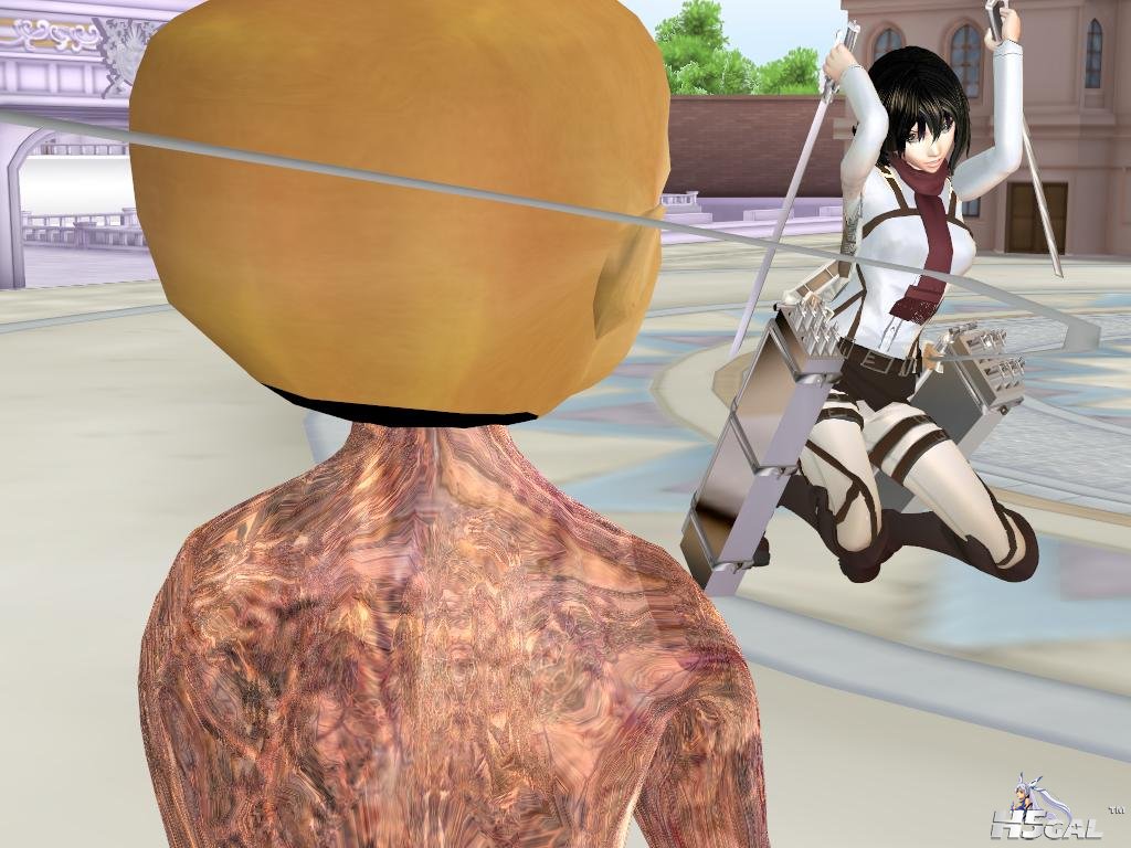 6.JPG