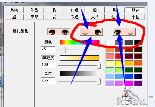 眼色选项卡