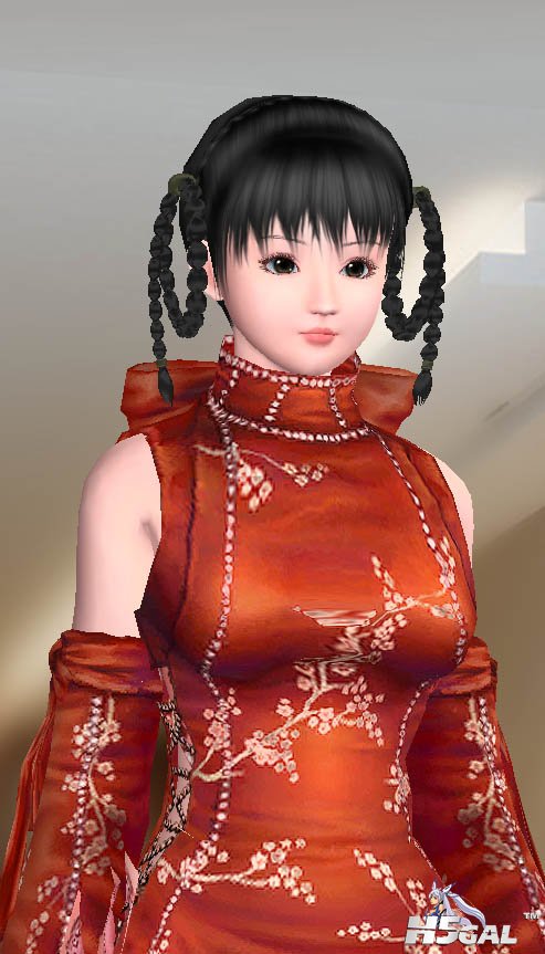丫环.jpg