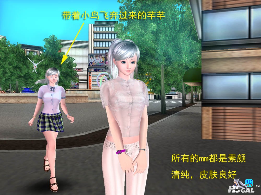 18带小鸟.jpg