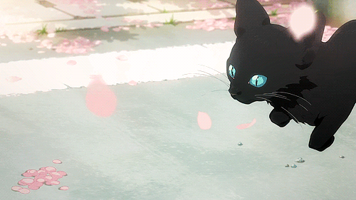 ShigatsuwaKiminoUso-Episode1-Omake-1.gif