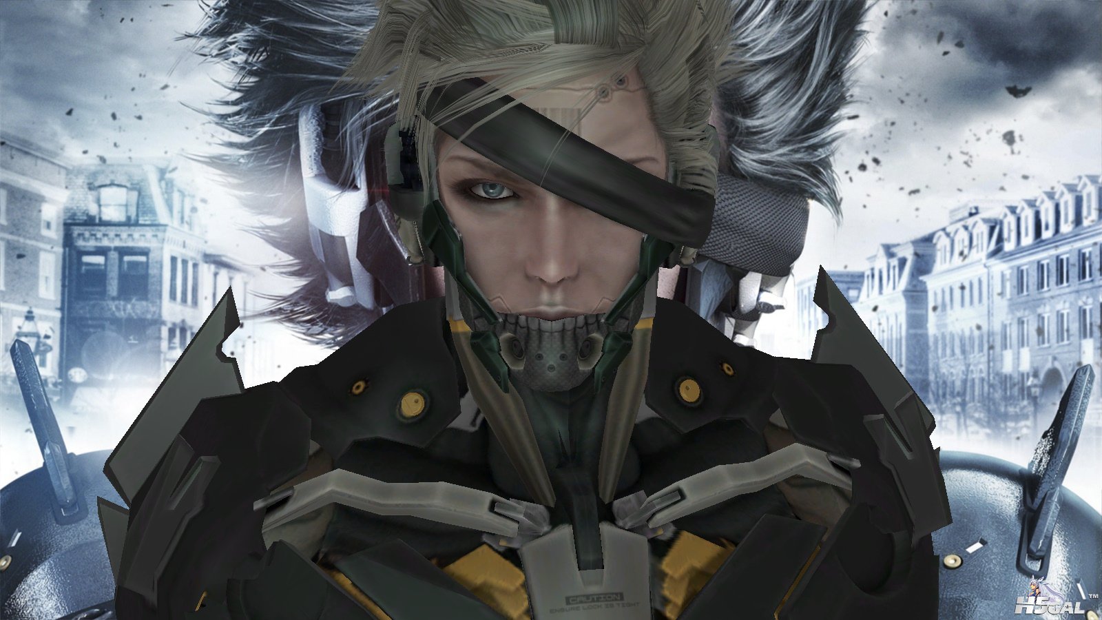 raiden_03.jpg