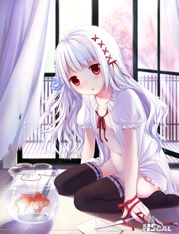 dde39e9e784e7a00003a_副本.jpg
