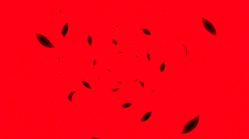 YuriKumaArashi-Episode10-Omake-10.gif
