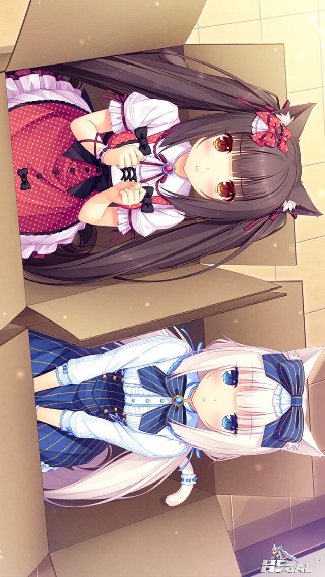 image.jpg