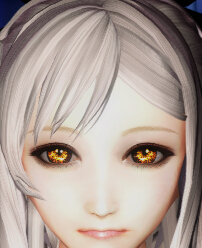 03.jpg