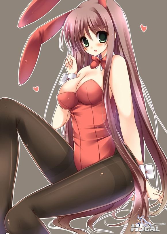 eee0da504fc2d56236c7df2fe51190ef74c66c79.jpg