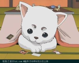 u=1782590099,2545070606&fm=21&gp=0.jpg