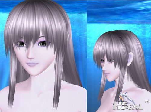 snapw000030_resize.jpg