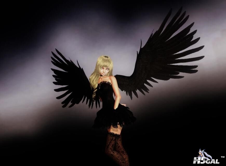 黑翼天使2